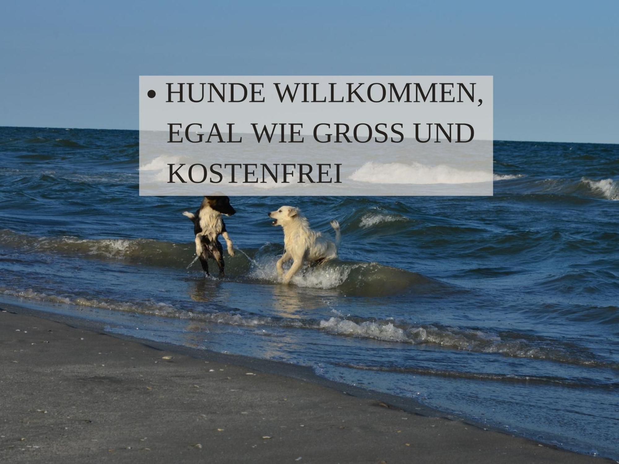 Haus Krabbe Apartments Mit Doppelbetten, Fuer 1-2 Personen, Hunde Kostenfrei Willkommen, Kostenfreier Parkplatz, Zwischen Bremerhaven Und Cuxhaven Gelegen Wremen Esterno foto